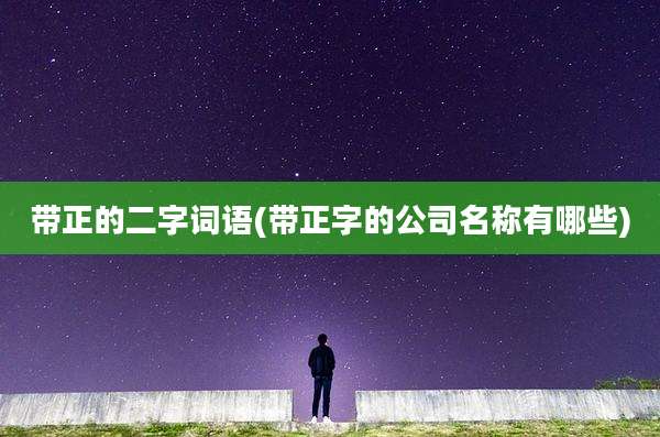 带正的二字词语(带正字的公司名称有哪些)