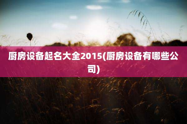 厨房设备起名大全2015(厨房设备有哪些公司)