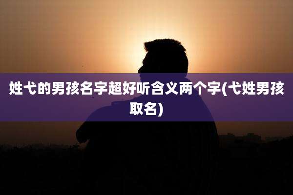 姓弋的男孩名字超好听含义两个字(弋姓男孩取名)