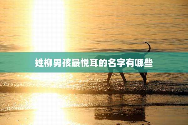 姓柳男孩最悦耳的名字有哪些