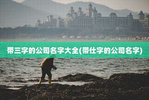 带三字的公司名字大全(带仕字的公司名字)