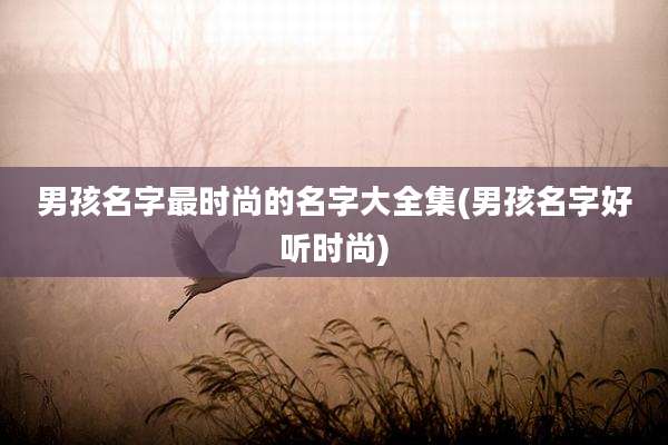 男孩名字最时尚的名字大全集(男孩名字好听时尚)