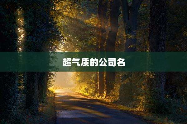 超气质的公司名