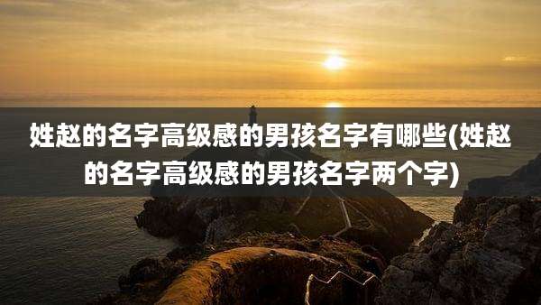 姓赵的名字高级感的男孩名字有哪些(姓赵的名字高级感的男孩名字两个字)