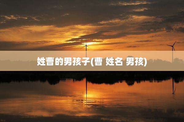 姓曹的男孩子(曹 姓名 男孩)
