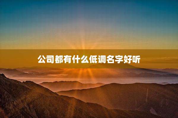 公司都有什么低调名字好听