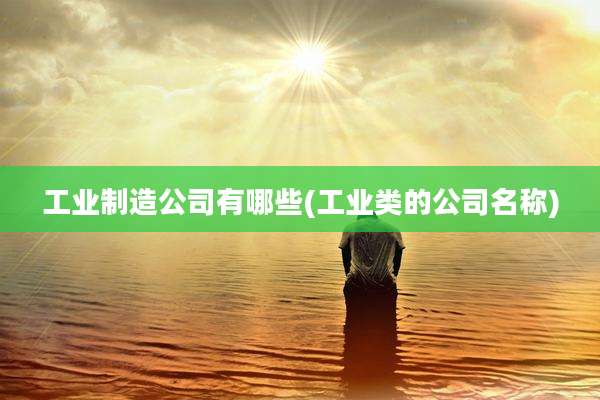 工业制造公司有哪些(工业类的公司名称)