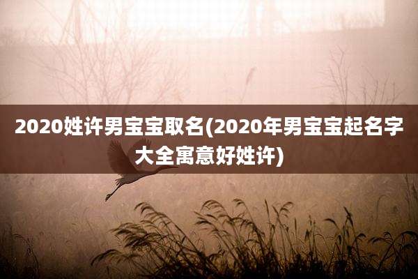 2020姓许男宝宝取名(2020年男宝宝起名字大全寓意好姓许)