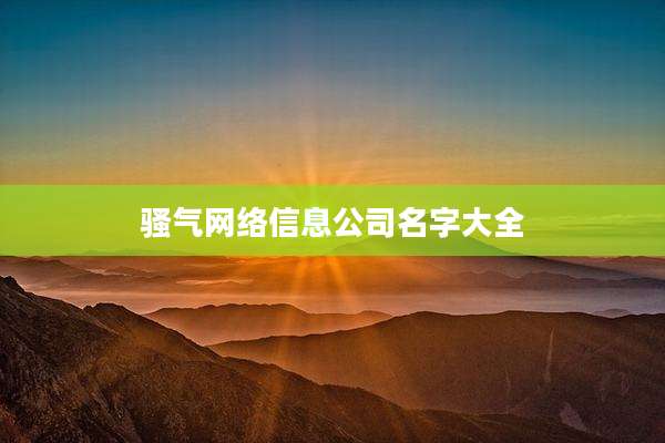骚气网络信息公司名字大全