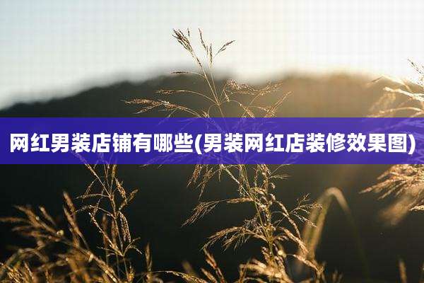 网红男装店铺有哪些(男装网红店装修效果图)