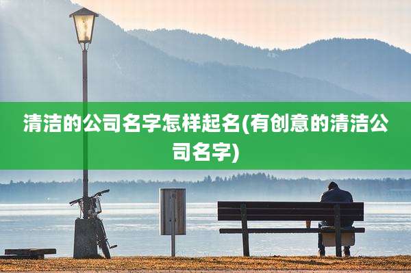 清洁的公司名字怎样起名(有创意的清洁公司名字)