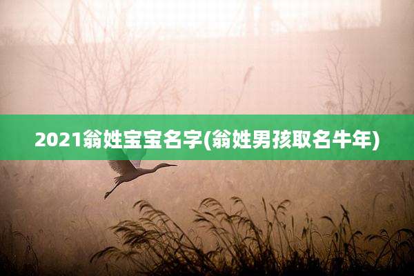 2021翁姓宝宝名字(翁姓男孩取名牛年)