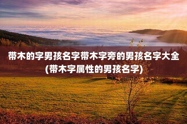 带木的字男孩名字带木字旁的男孩名字大全(带木字属性的男孩名字)