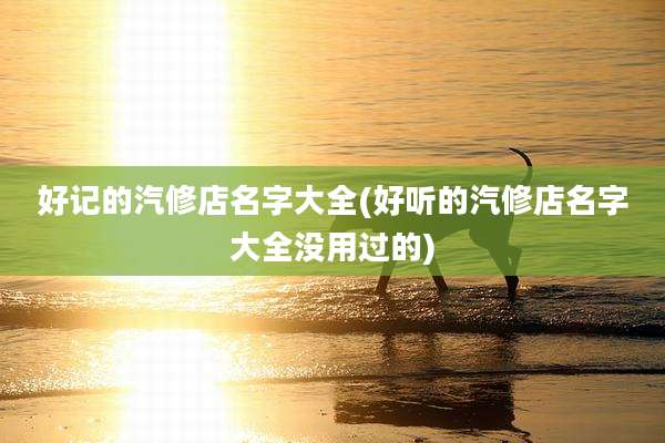 好记的汽修店名字大全(好听的汽修店名字大全没用过的)
