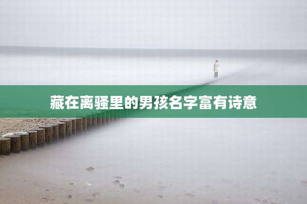 藏在离骚里的男孩名字富有诗意
