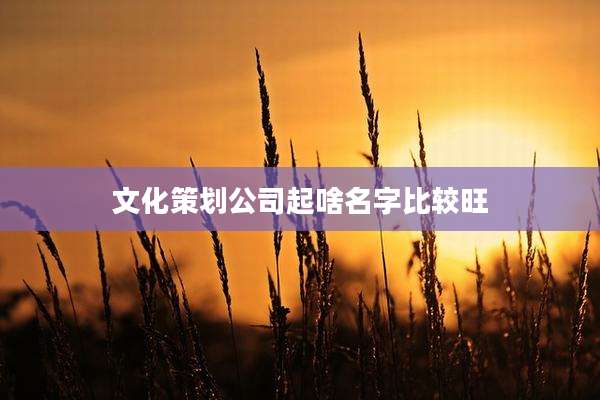 文化策划公司起啥名字比较旺