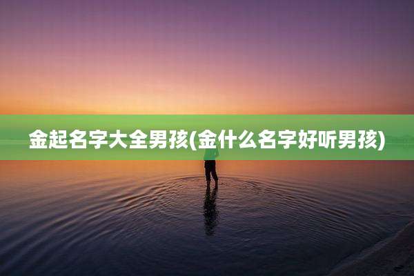 金起名字大全男孩(金什么名字好听男孩)