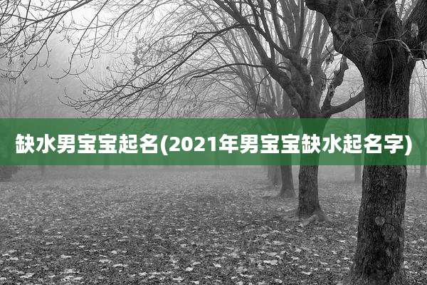 缺水男宝宝起名(2021年男宝宝缺水起名字)