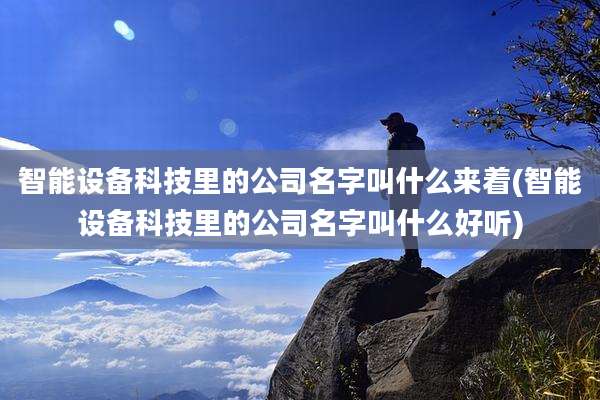 智能设备科技里的公司名字叫什么来着(智能设备科技里的公司名字叫什么好听)