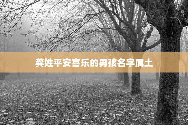 龚姓平安喜乐的男孩名字属土