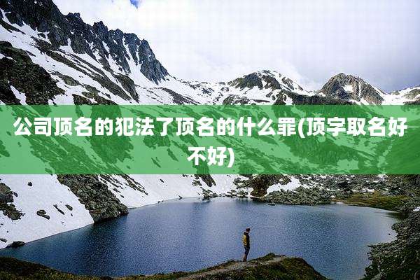 公司顶名的犯法了顶名的什么罪(顶字取名好不好)
