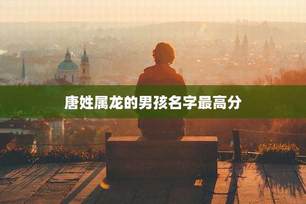 唐姓属龙的男孩名字最高分