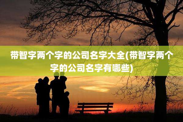 带智字两个字的公司名字大全(带智字两个字的公司名字有哪些)