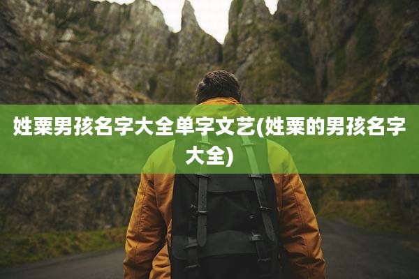 姓粟男孩名字大全单字文艺(姓粟的男孩名字大全)
