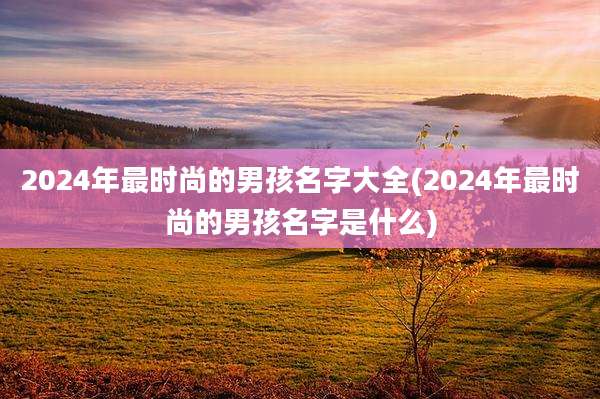 2024年最时尚的男孩名字大全(2024年最时尚的男孩名字是什么)