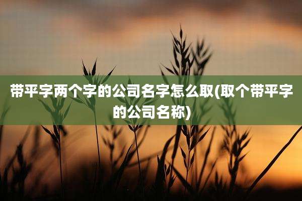 带平字两个字的公司名字怎么取(取个带平字的公司名称)