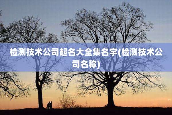 检测技术公司起名大全集名字(检测技术公司名称)