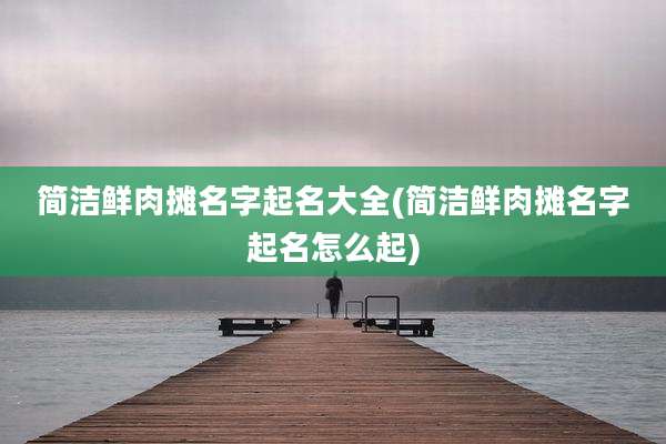 简洁鲜肉摊名字起名大全(简洁鲜肉摊名字起名怎么起)