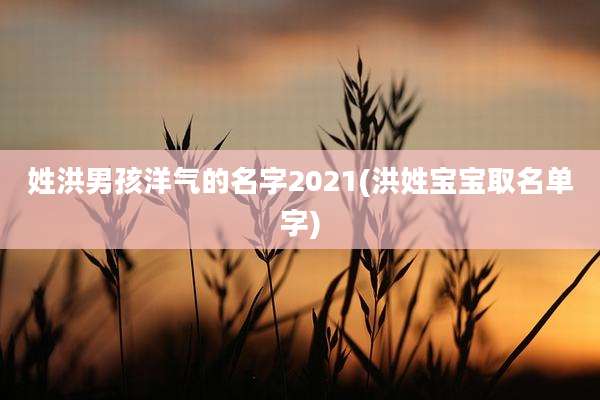 姓洪男孩洋气的名字2021(洪姓宝宝取名单字)