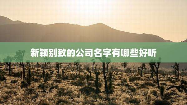 新颖别致的公司名字有哪些好听