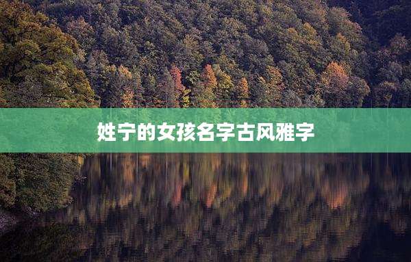 姓宁的女孩名字古风雅字
