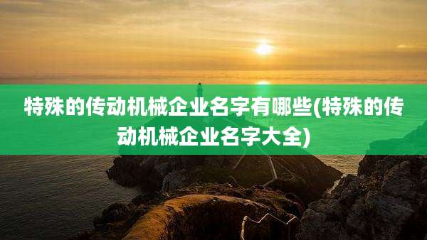 特殊的传动机械企业名字有哪些(特殊的传动机械企业名字大全)