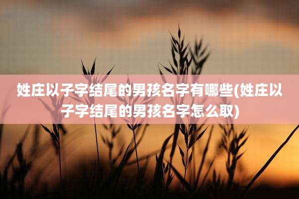 姓庄以子字结尾的男孩名字有哪些(姓庄以子字结尾的男孩名字怎么取)