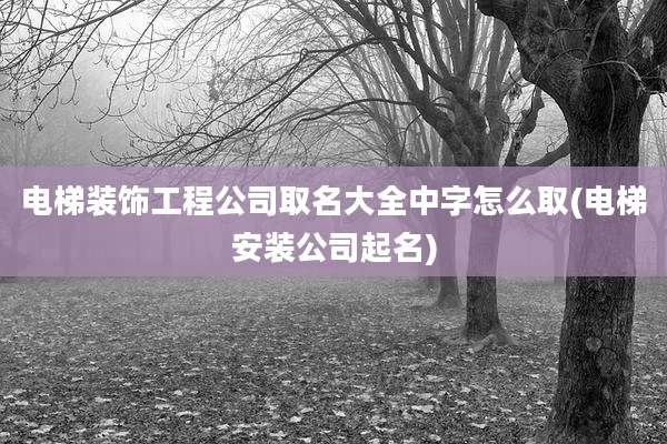 电梯装饰工程公司取名大全中字怎么取(电梯安装公司起名)