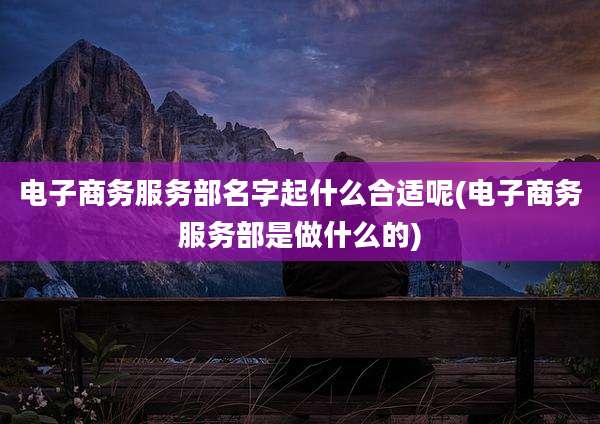 电子商务服务部名字起什么合适呢(电子商务服务部是做什么的)