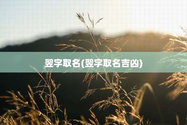 翌字取名(翌字取名吉凶)