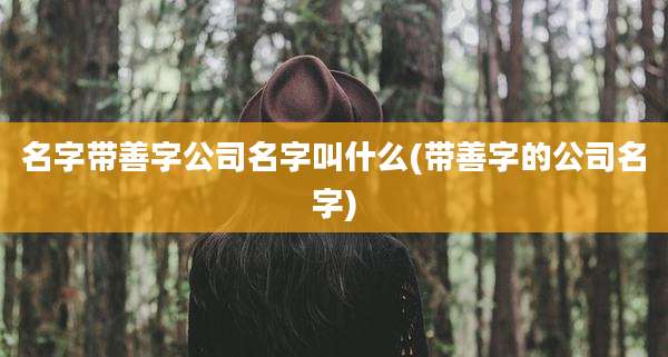名字带善字公司名字叫什么(带善字的公司名字)