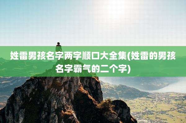 姓雷男孩名字两字顺口大全集(姓雷的男孩名字霸气的二个字)