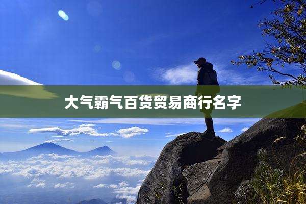 大气霸气百货贸易商行名字