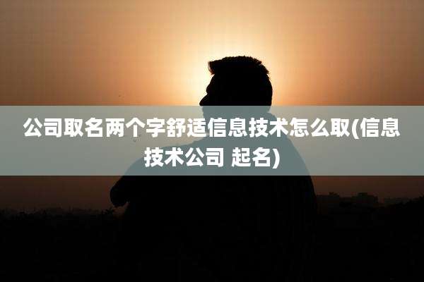 公司取名两个字舒适信息技术怎么取(信息技术公司 起名)