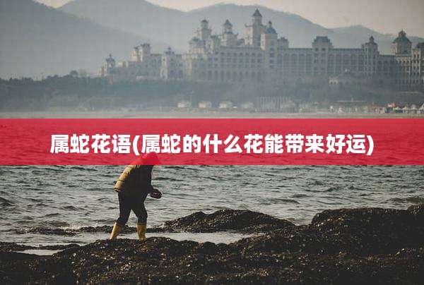 属蛇花语(属蛇的什么花能带来好运)