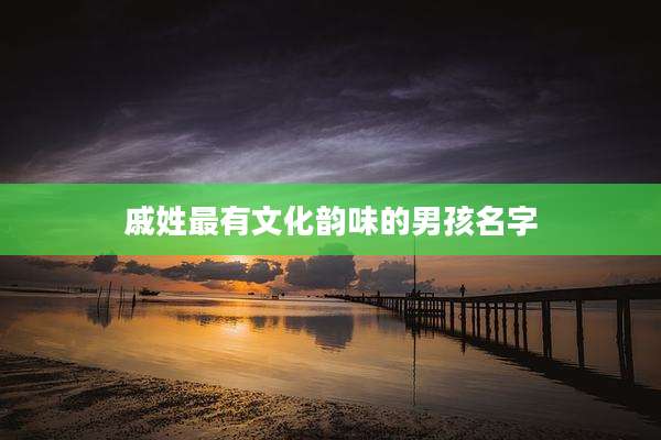 戚姓最有文化韵味的男孩名字