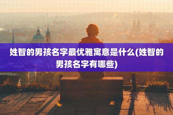 姓智的男孩名字最优雅寓意是什么(姓智的男孩名字有哪些)
