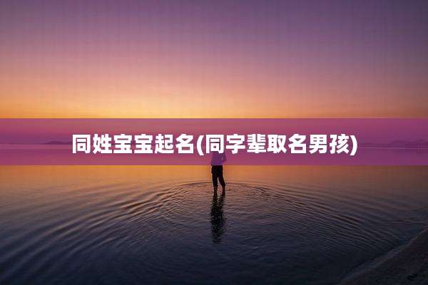 同姓宝宝起名(同字辈取名男孩)