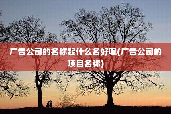 广告公司的名称起什么名好呢(广告公司的项目名称)