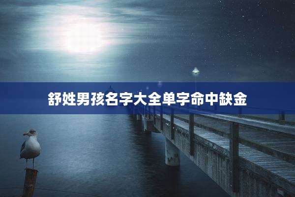 舒姓男孩名字大全单字命中缺金